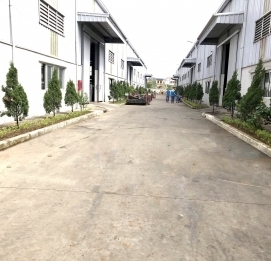 Lễ ra quân chương trình 'Phát động văn hóa xanh' - VĨNH HƯNG JSC