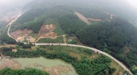 Đường Hồ Chí Minh - VĨNH HƯNG JSC